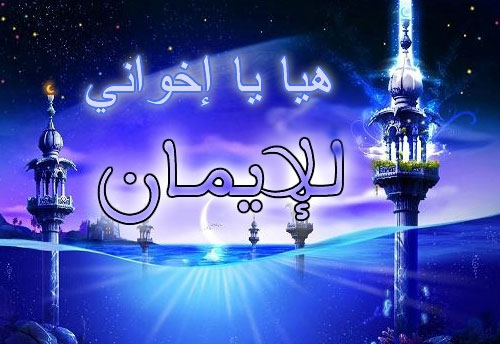 program-image